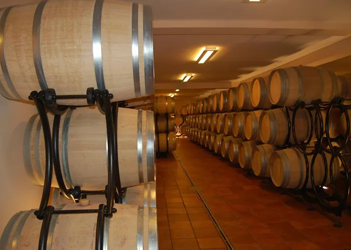 Apartament Place4you